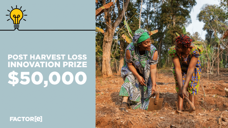 The Post Harvest Loss Innovation Prize aims to empower smallholder farmers by reducing post-harvest losses.