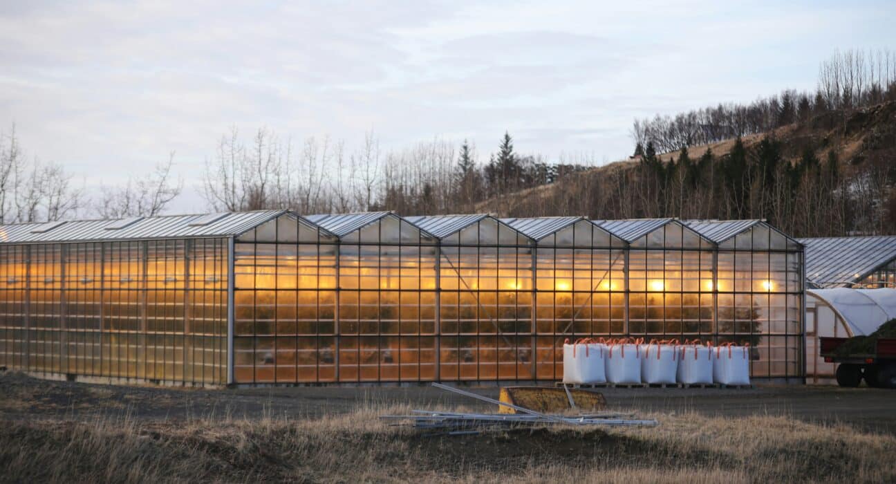 Quebec Government announces $3 million in funding to boost regional agriculture and support local food initiatives.