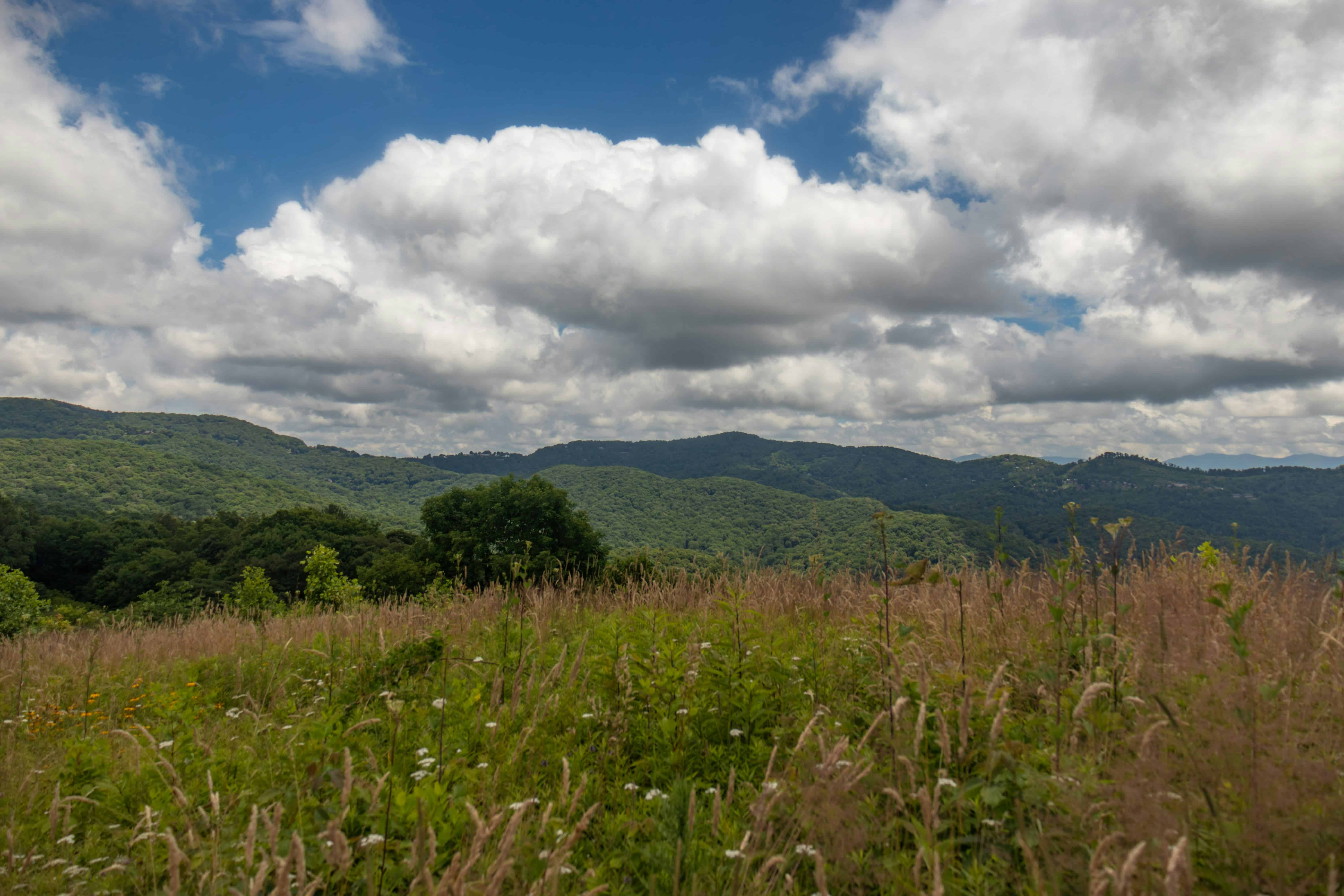 Learn about challenges & opportunities for rural entrepreneurs in North Carolina and the essential steps for success in agriculture & AgTech.