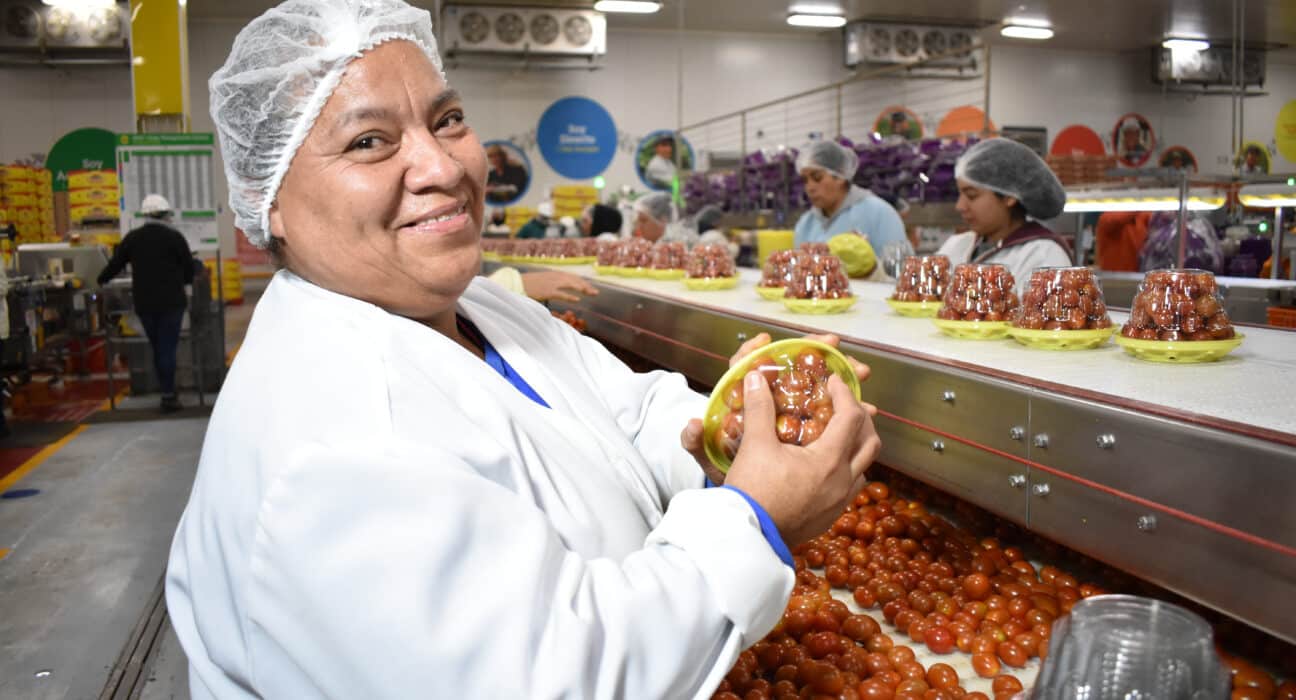 NatureSweet’s 2024 Sustainability Report highlights education, fair wages, environmental progress, and community impact for farmworkers.