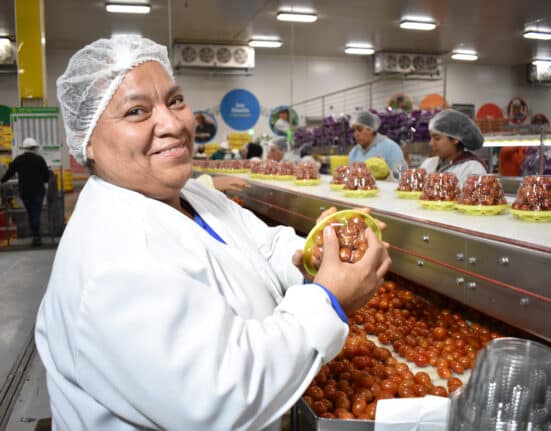NatureSweet’s 2024 Sustainability Report highlights education, fair wages, environmental progress, and community impact for farmworkers.