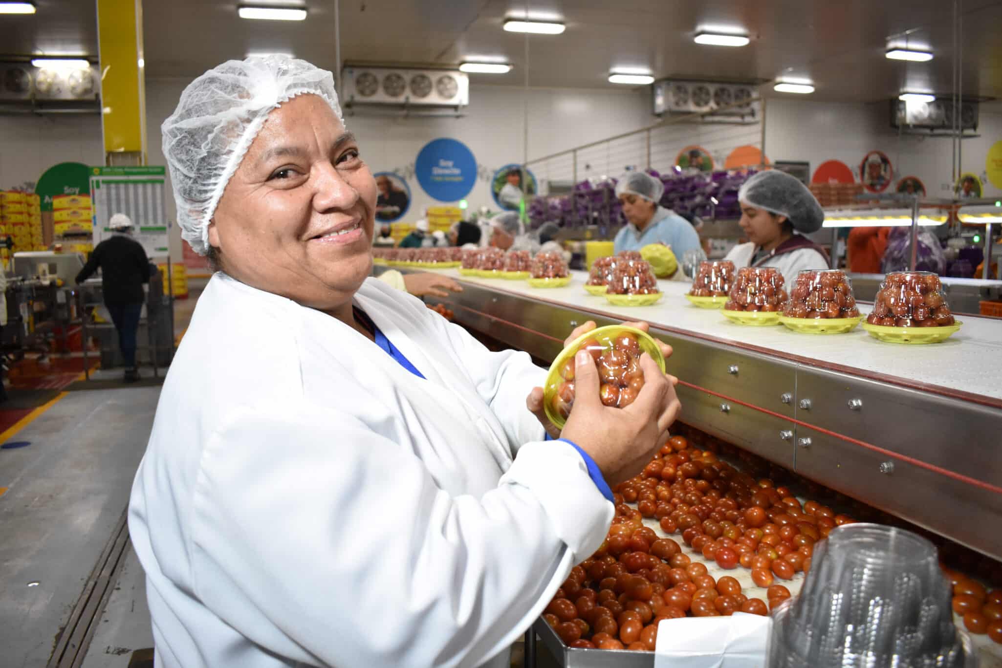 NatureSweet’s 2024 Sustainability Report highlights education, fair wages, environmental progress, and community impact for farmworkers.