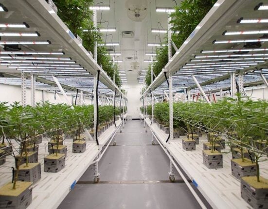 Fluence released SPYDR 3, an updated version of its lighting fixture designed for commercial cannabis cultivation.