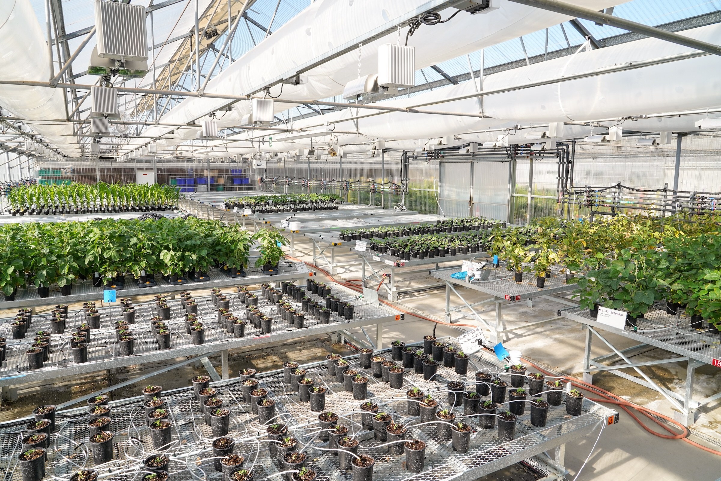 Syngenta Crop Protection and Ginkgo Bioworks announced a new collaboration to develop innovative biological solutions.