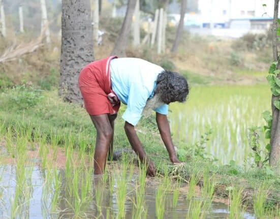 Boomitra has completed its first issuance of soil organic carbon (SOC) removal credits via the URVARA Project, supporting over 6,000 smallholder farmers.