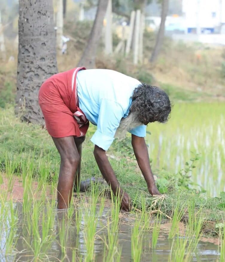 Boomitra has completed its first issuance of soil organic carbon (SOC) removal credits via the URVARA Project, supporting over 6,000 smallholder farmers.
