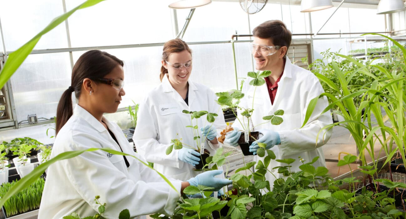 Genvor, Inc. (OTCID: GNVR) has announced that it has regained active OTCQB trading status on OTC Markets and expands Global R&D initiative.