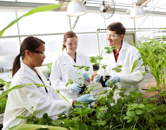 Genvor, Inc. (OTCID: GNVR) has announced that it has regained active OTCQB trading status on OTC Markets and expands Global R&D initiative.