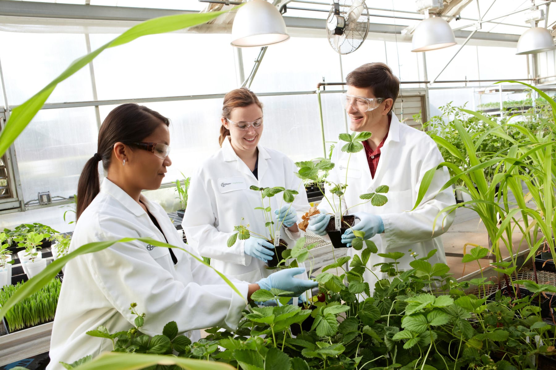 Genvor, Inc. (OTCID: GNVR) has announced that it has regained active OTCQB trading status on OTC Markets and expands Global R&D initiative.