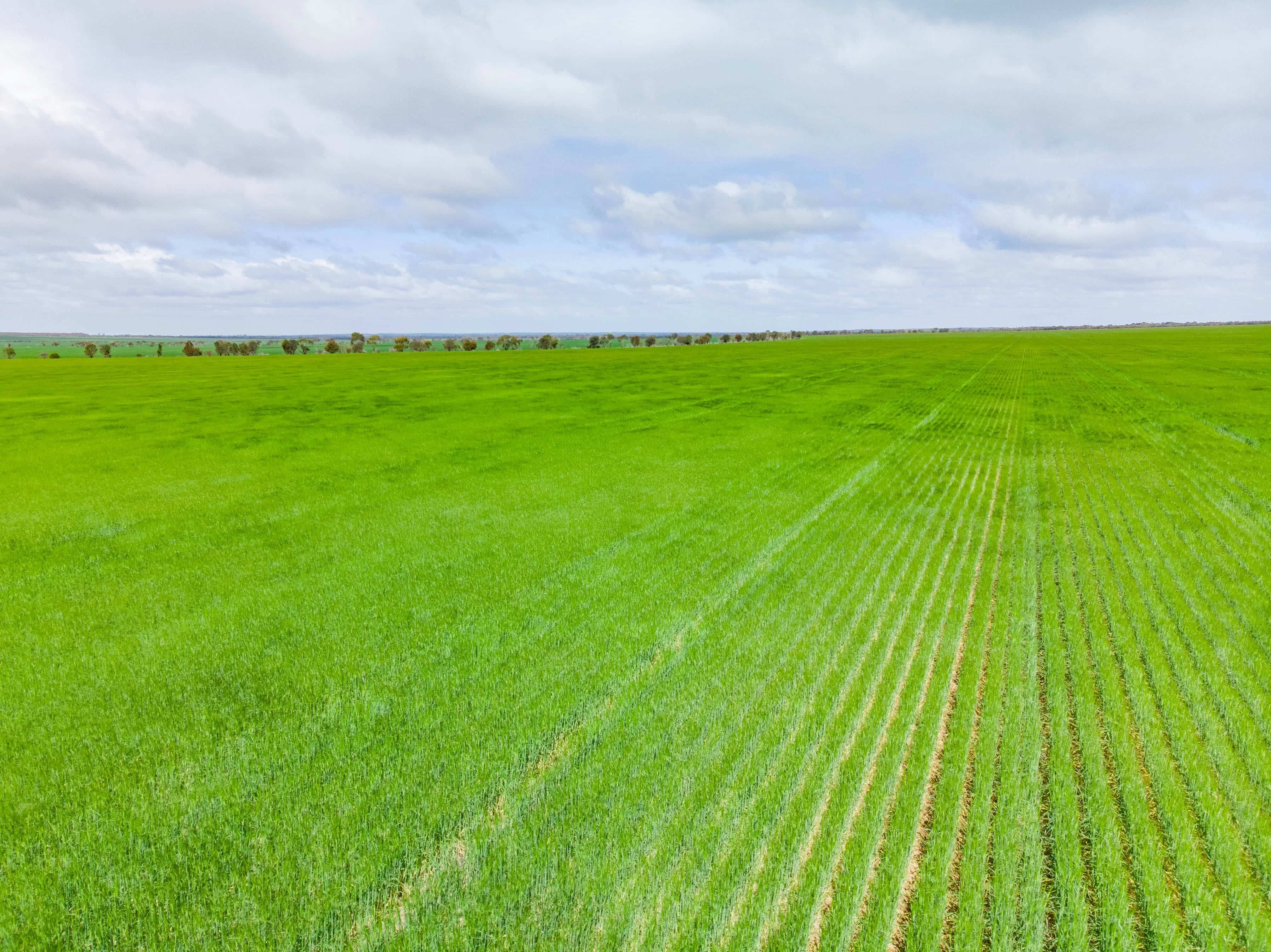 DecisionNext has announced Kilcoy Global Foods as a new agriculture customer in Australia, marking a significant milestone for the company.