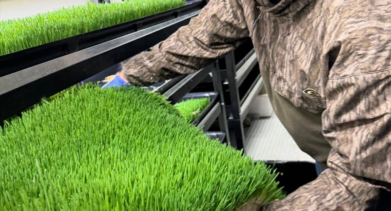 The Villages Charter School is utilizing FarmBox Foods to provide students with hands-on experience in modern, climate-controlled ag.