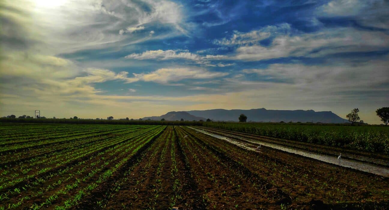 Field to Market: The Alliance for Sustainable Agriculture® has released Regenerative Agriculture Guidance Version 1.0