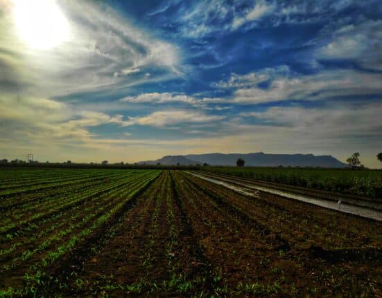 Field to Market: The Alliance for Sustainable Agriculture® has released Regenerative Agriculture Guidance Version 1.0