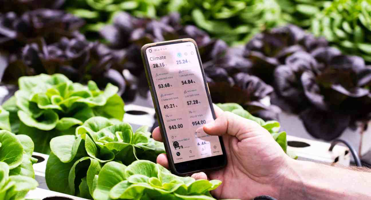 GrowDirector launches the AI Agronomist, an all-in-one solution for crop health & management using image recognition and NLP.