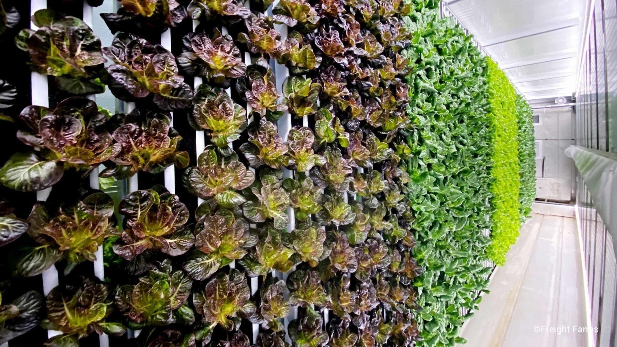 Freight Farms ceased operations on April 30, 2025, discontinuing services and support after 13 years in container-based vertical farming.