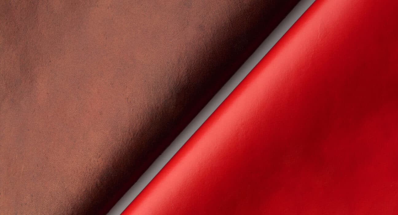 Qorium has raised €22 million in Series A funding from Invest-NL and LIOF, alongside existing backers Brightlands Venture Partners and Sofinnova Partners.