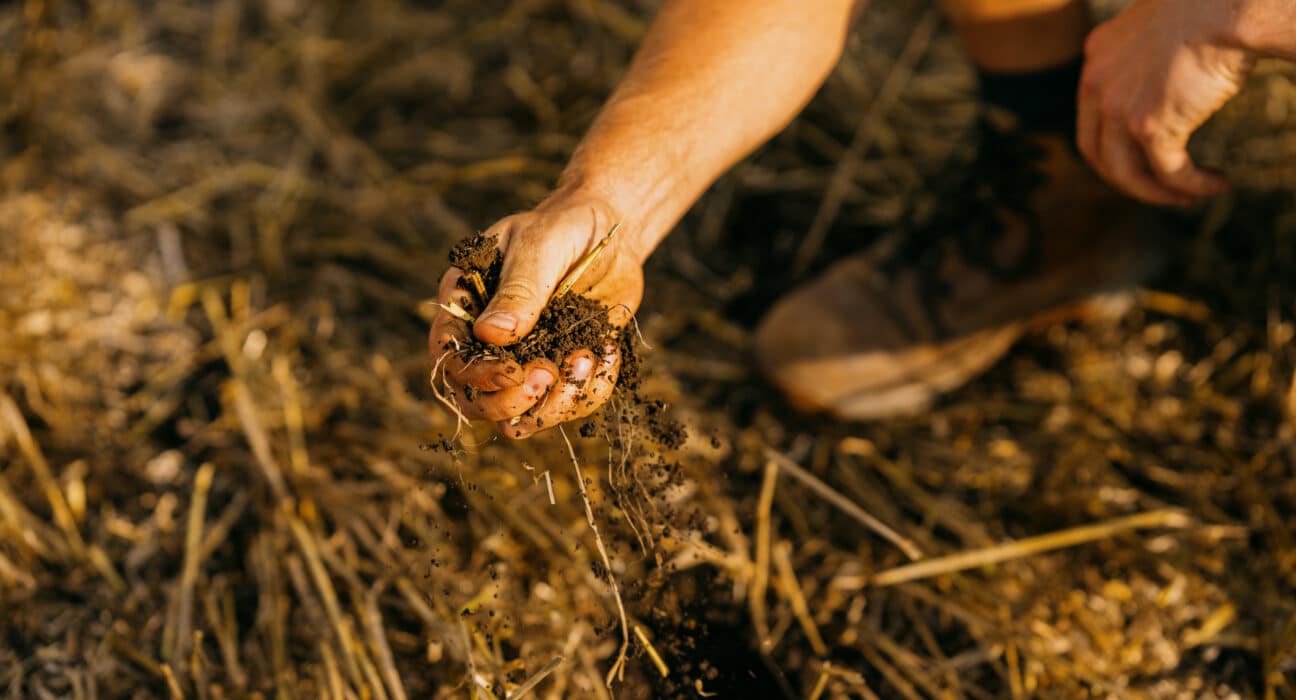 Agreena launches the Carbon Credit Confidence initiative to enhance transparency in soil carbon credit markets.