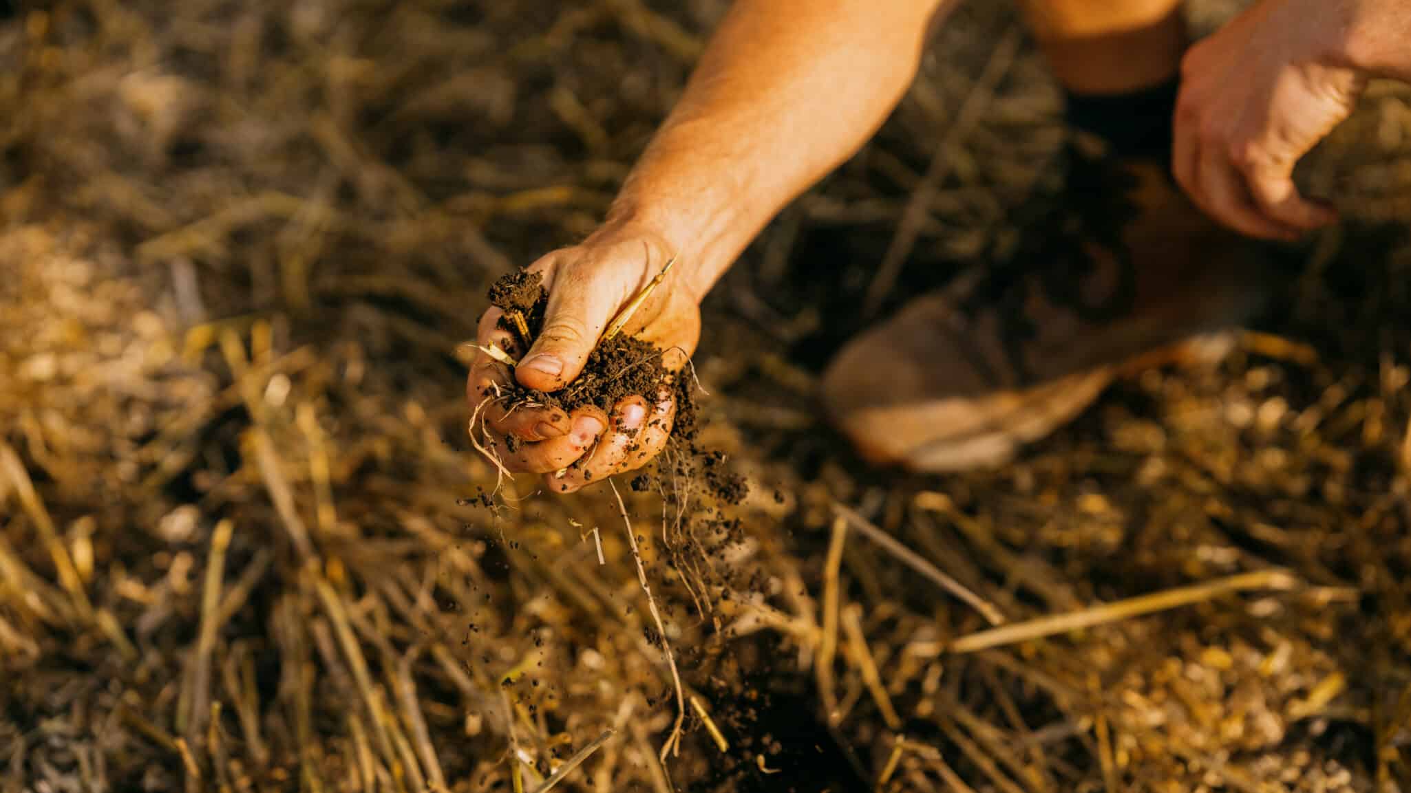 Agreena launches the Carbon Credit Confidence initiative to enhance transparency in soil carbon credit markets.