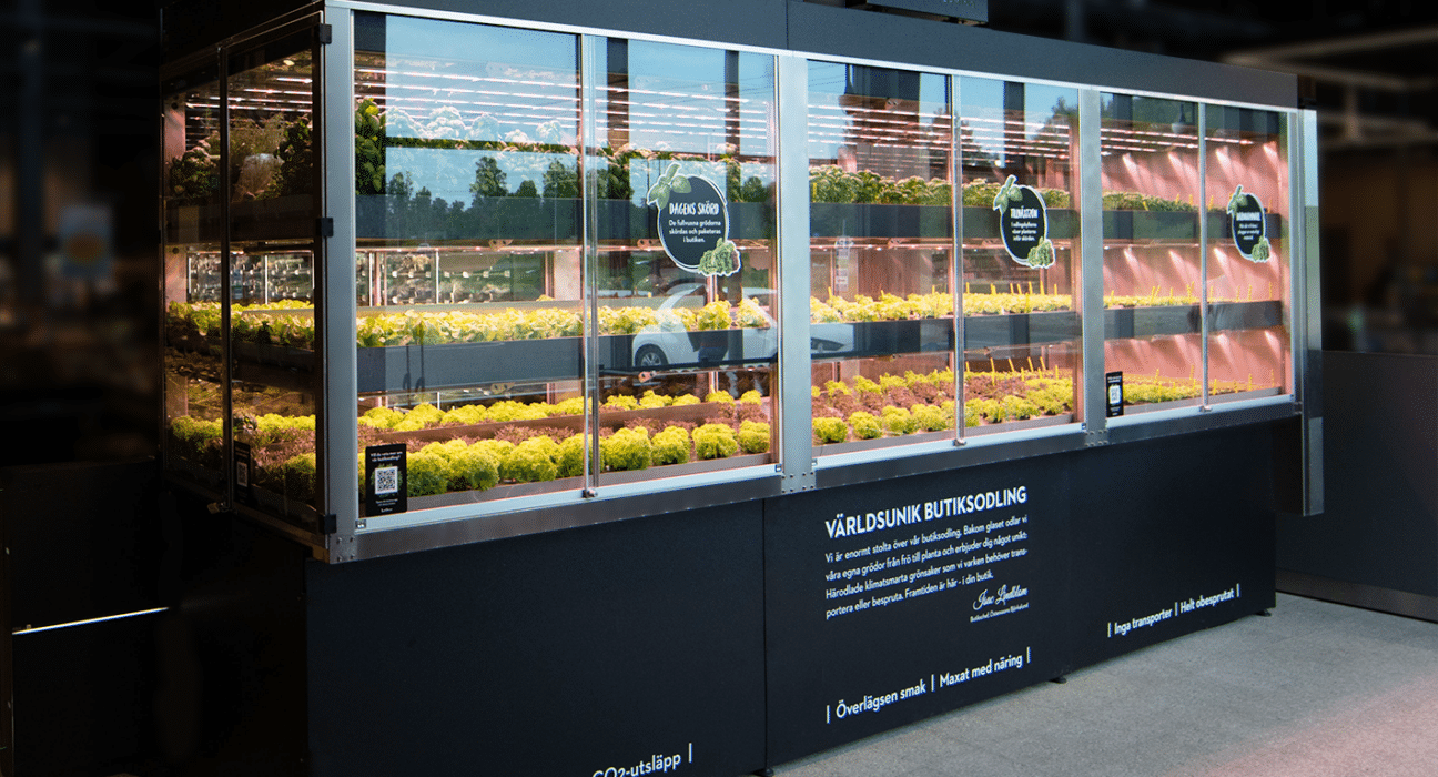 ICA Kvantum Märsta has selected Swegreen's in-store growing technology, with the Saga Medium system launching in spring 2026.