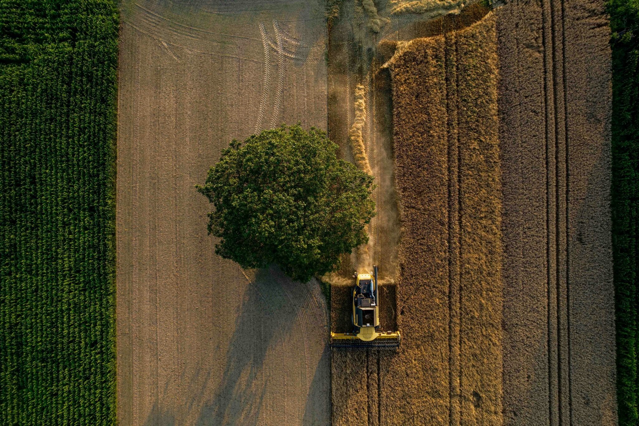 Perdue AgriBusiness entered into a carbon insetting agreement with Eion, a company focused on commercializing ERW as a climate solution.