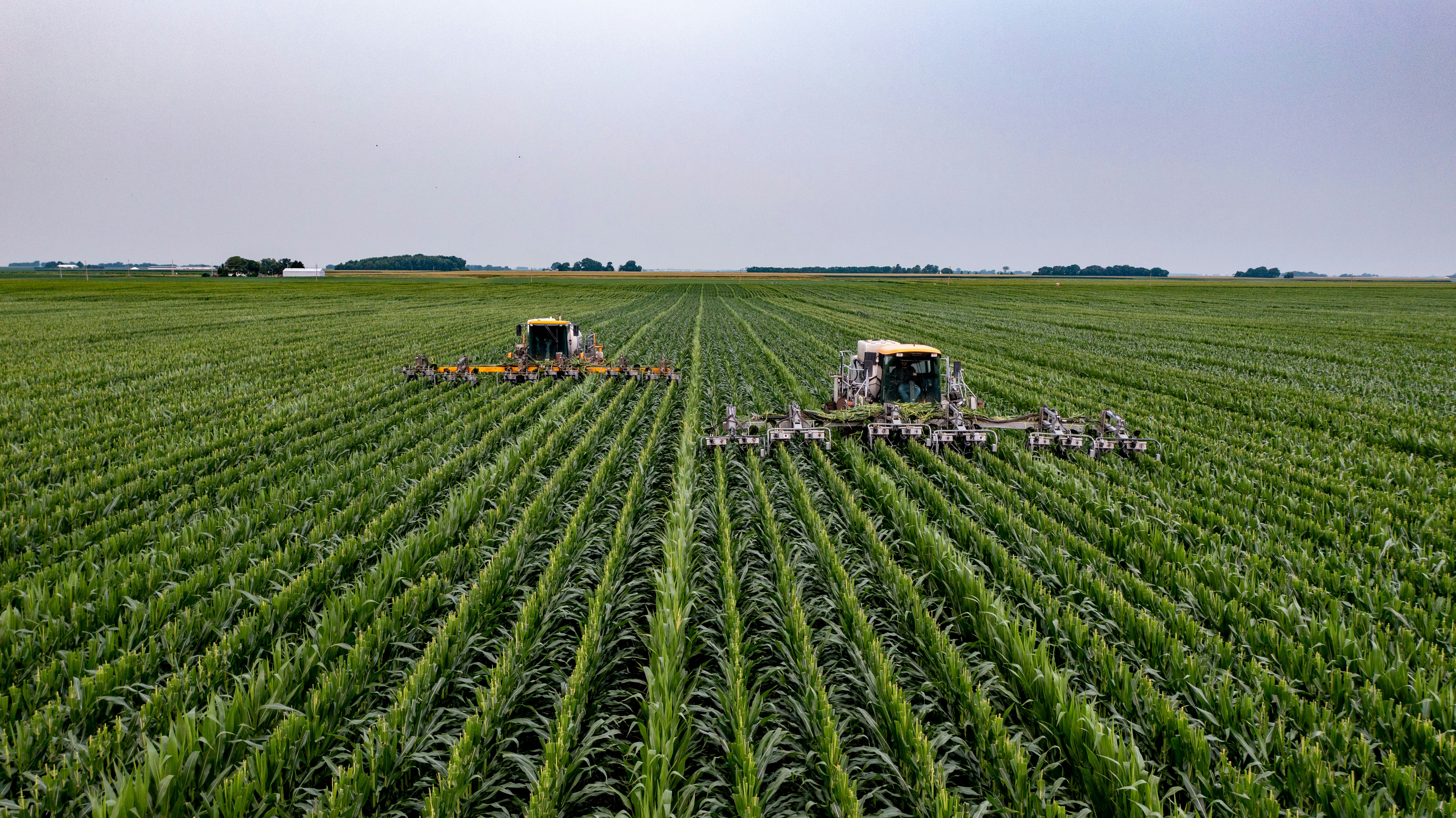 Creation Investments made a $20M investment in Agrolend to expand its credit offerings to industries, retailers & cooperatives in Brazil. Agribusiness News, AgTech News, Agribusiness