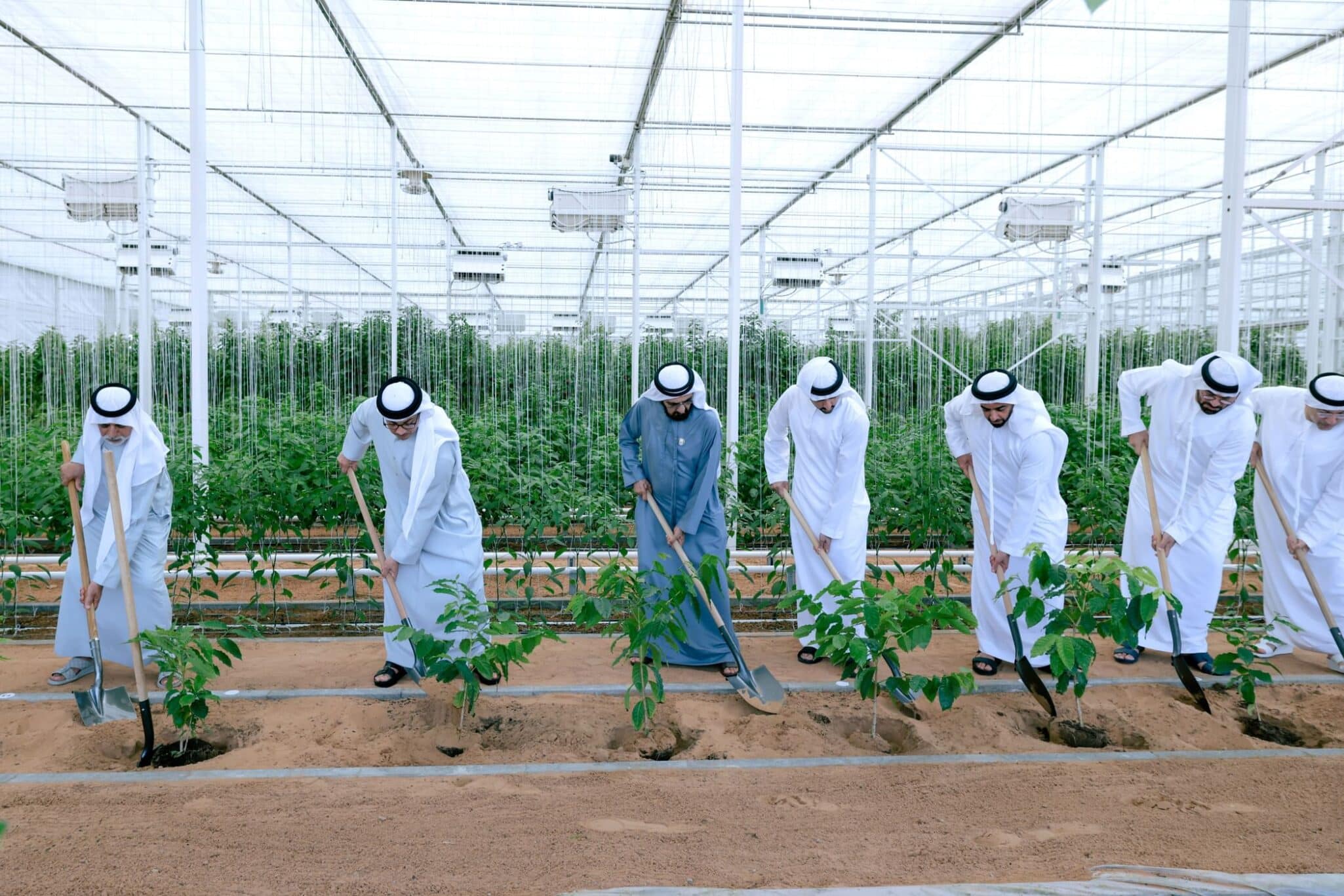 The "Plant the Emirates" program was launched to enhance agricultural development and national food security.