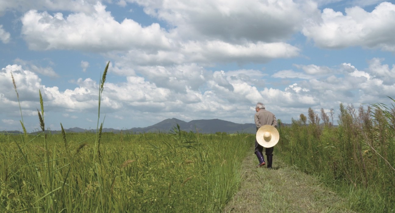 Greenery will host a seminar on transitioning to low-carbon agriculture and animal husbandry from Nov 11 to 13 at the Korea Pavilion at COP29.
