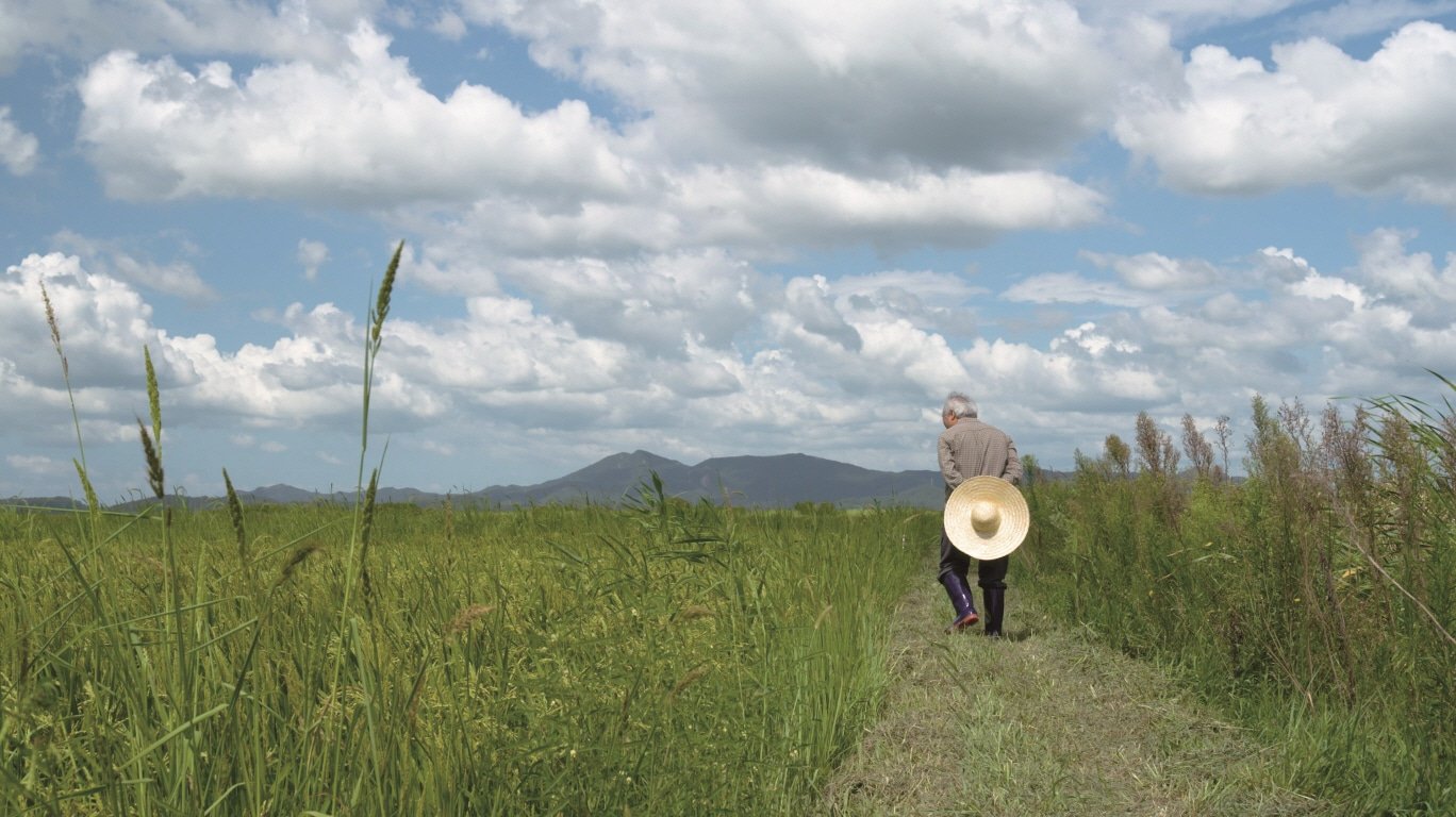Greenery will host a seminar on transitioning to low-carbon agriculture and animal husbandry from Nov 11 to 13 at the Korea Pavilion at COP29.