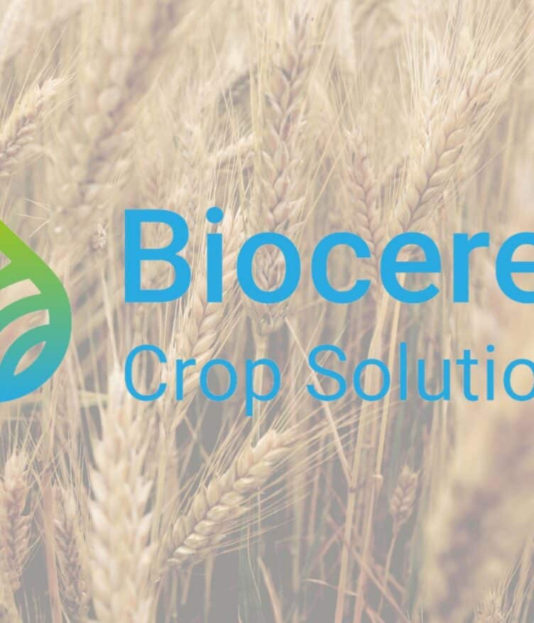 Bioceres and CWRF partner to develop and commercialize HB4® wheat in the U.S., advancing climate resilience and sustainability.