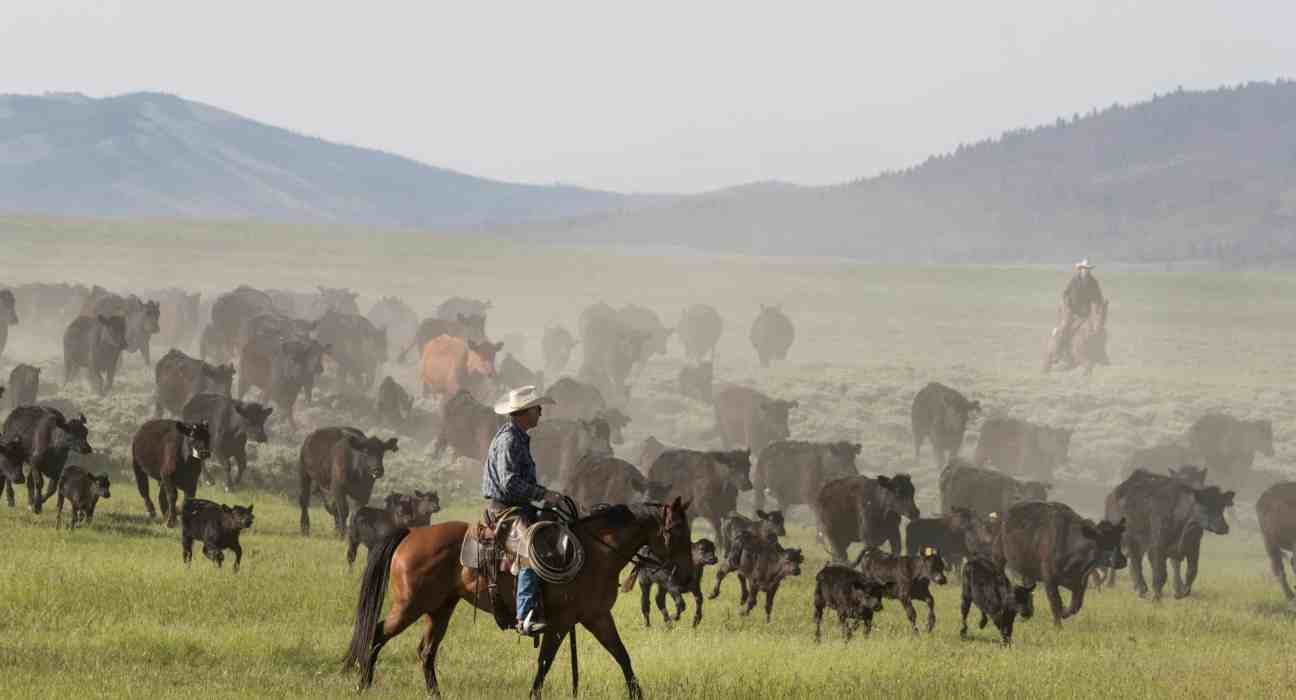 Lystek International launched the LysteMize Livestock Waste Characterization Study with funding from Canada’s Energy Innovation Program. Agriculture News, AgTech News, AgTech.