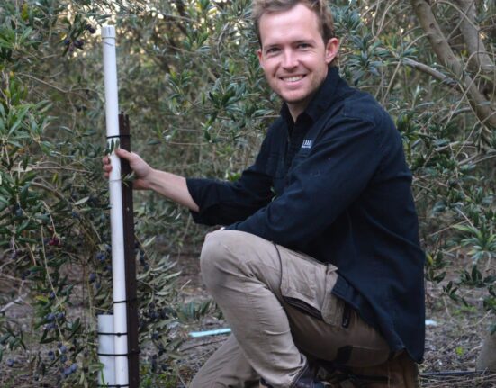 Hort Innovation report highlights $1 billion annual opportunity through productivity gains in Australian horticulture.
