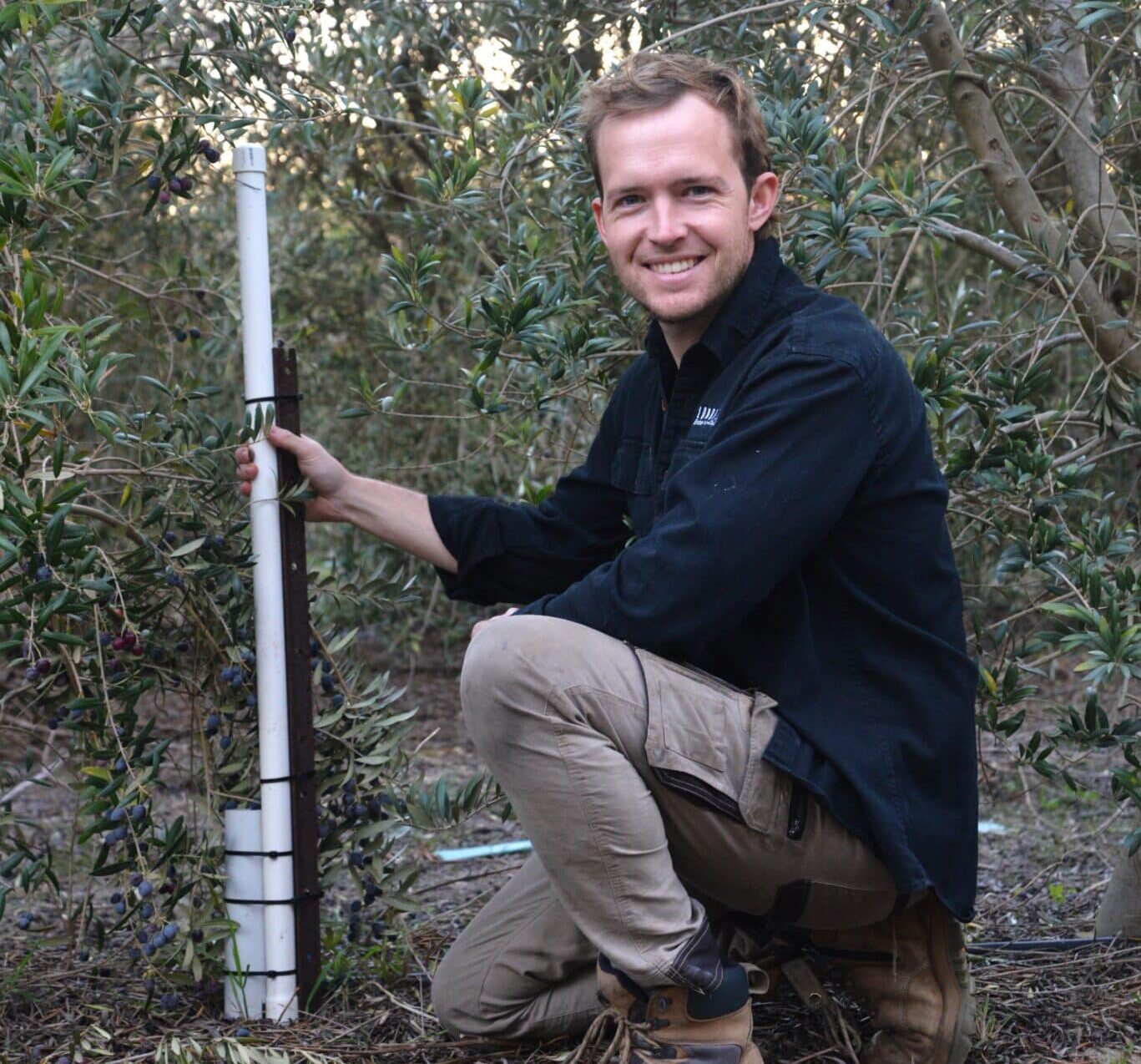 Hort Innovation report highlights $1 billion annual opportunity through productivity gains in Australian horticulture.