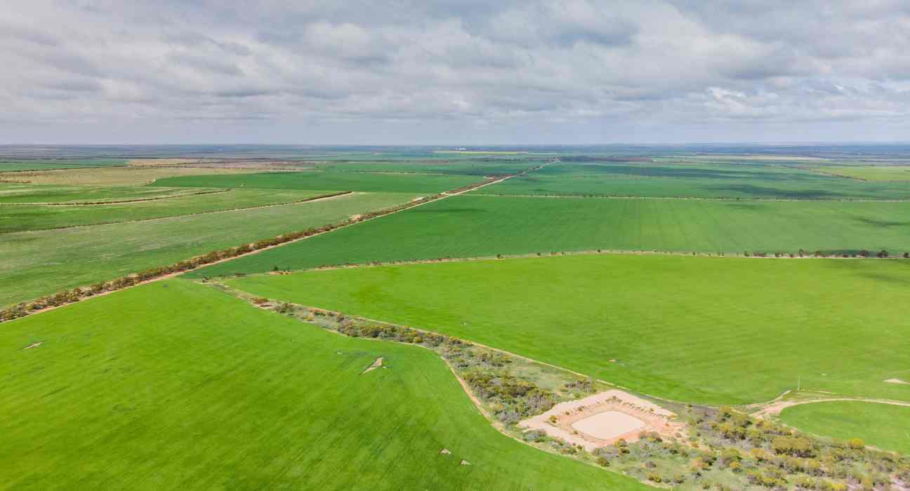South Australia, in collaboration with the Federal Government and industry, has committed $24.4 million to lower agricultural greenhouse gas emissions.
