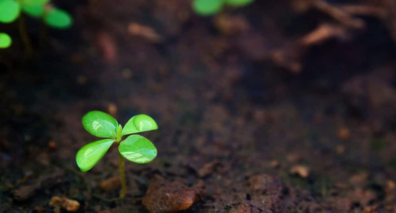 Agrology has developed the first scalable and affordable Net Ecosystem Exchange Measurement System, advancing global carbon cycle research.