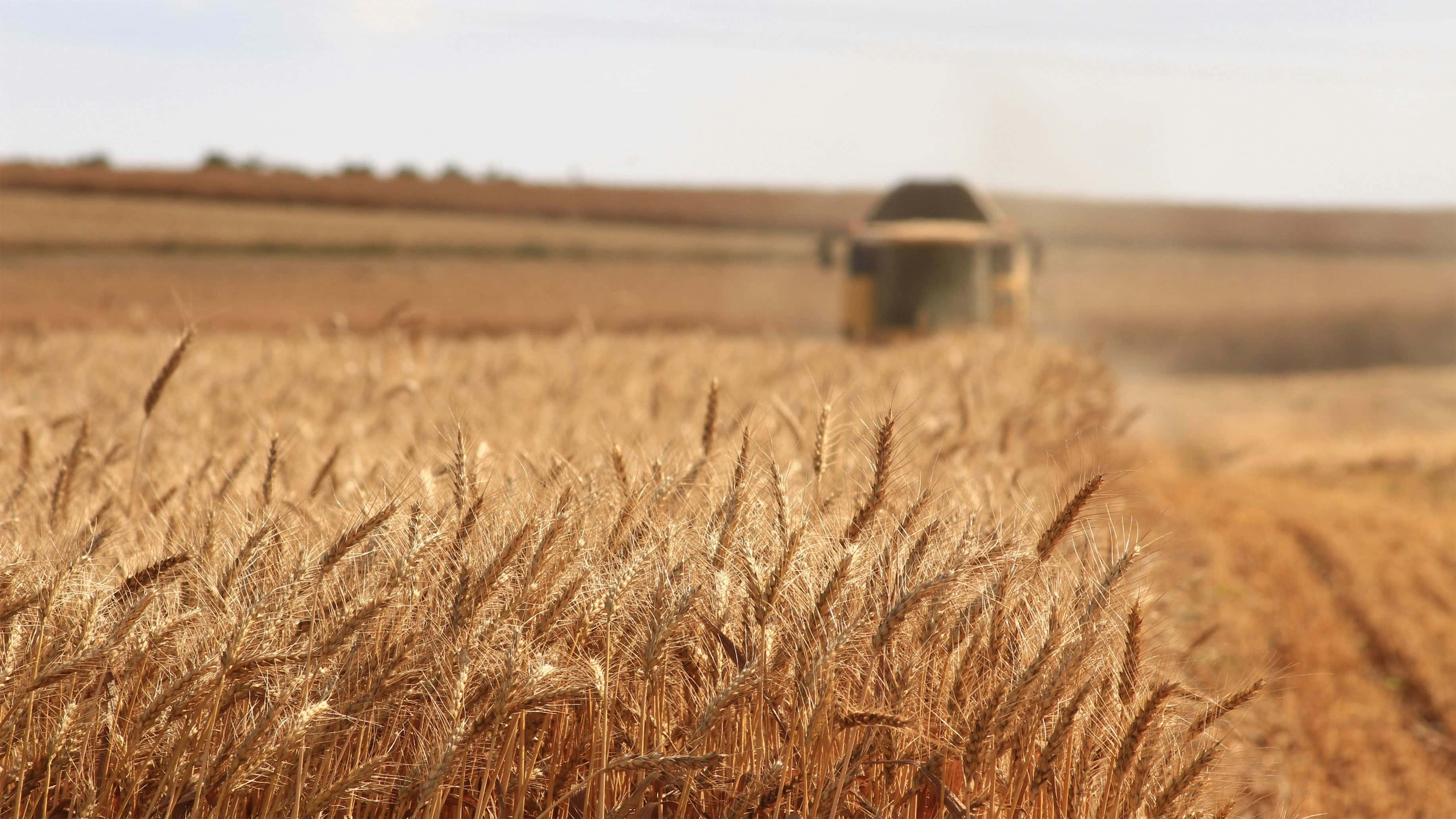 Verizon Business has secured a $21 million agreement with the USDA for the first year of a new connectivity program.