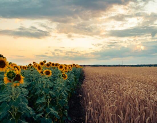 Gates Foundation pledges $1.4B at COP30 to advance climate adaptation for smallholder farmers through crops, soil, and digital tools.