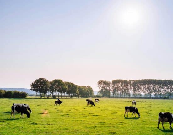 Ahold Delhaize USA, Danone North America & The Nature Conservancy launch pilot to cut methane from dairy farms and boost resilience.