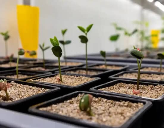 Micropep Technologies and Corteva partner on a multi-year R&D project to co-develop peptide-based biofungicides.