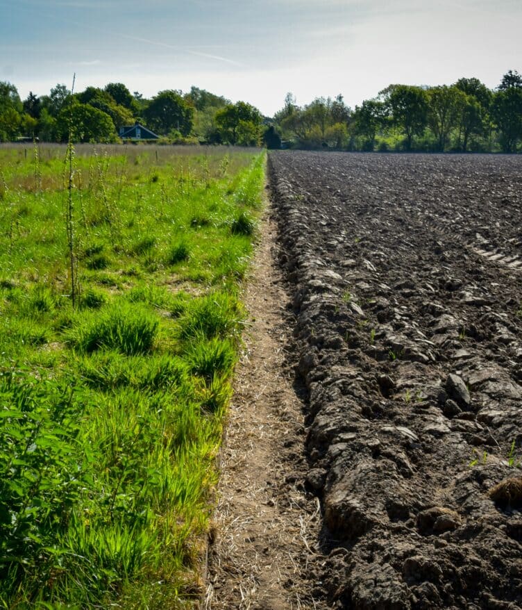 Advancing Eco Agriculture today announced the launch of FieldLark AI, the first chatbot designed to support regenerative farming practices.