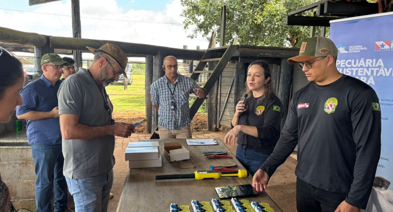 JBS has invested over US$ 7 million to advance animal traceability and environmental compliance among cattle producers in Pará, Brazil.