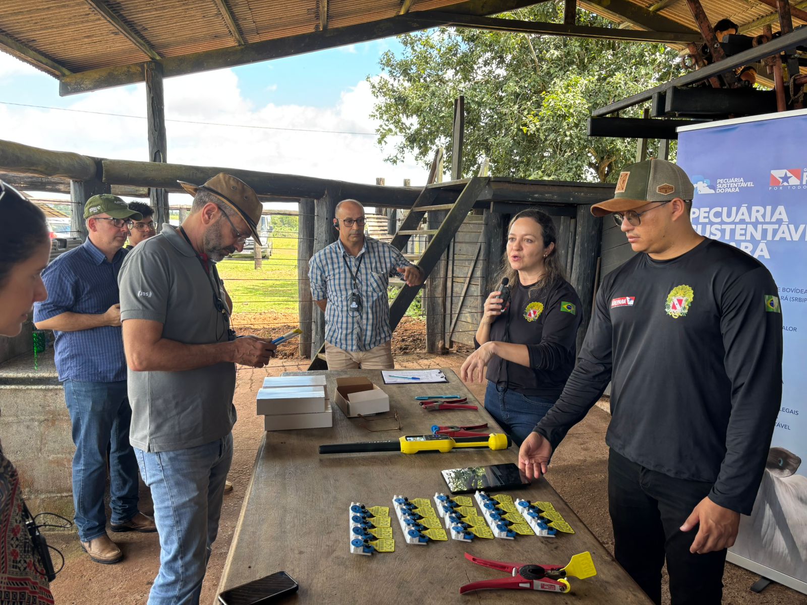 JBS has invested over US$ 7 million to advance animal traceability and environmental compliance among cattle producers in Pará, Brazil.