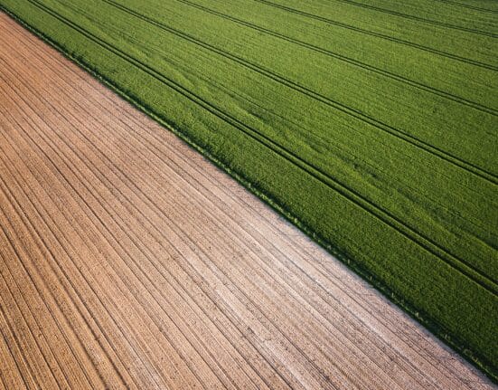 The International Ag Alliance unites top agricultural land firms to support opportunities in farmland acquisition, management & appraisal.