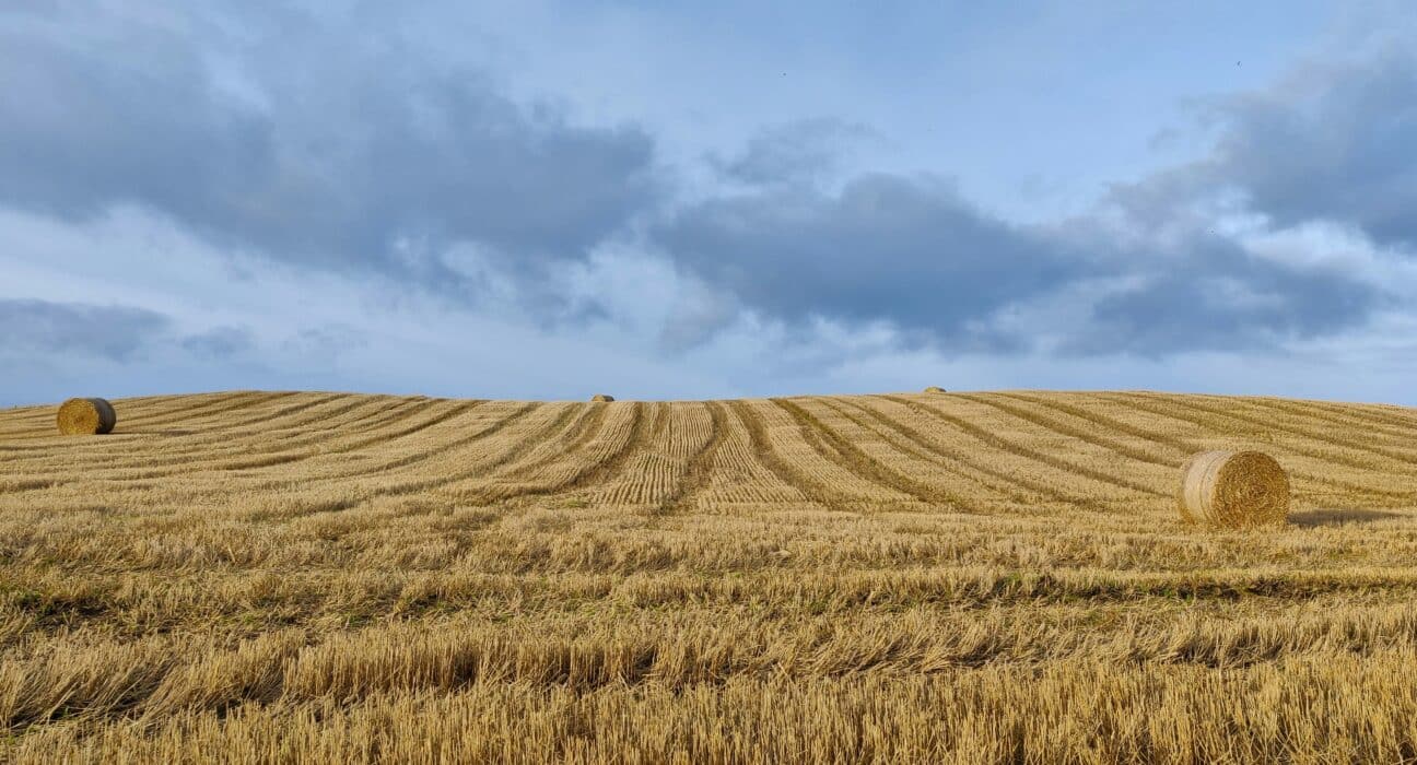 Farmland values in the US have remained stable through the first half of 2025, according to a mid-year update from Farmers National Company.