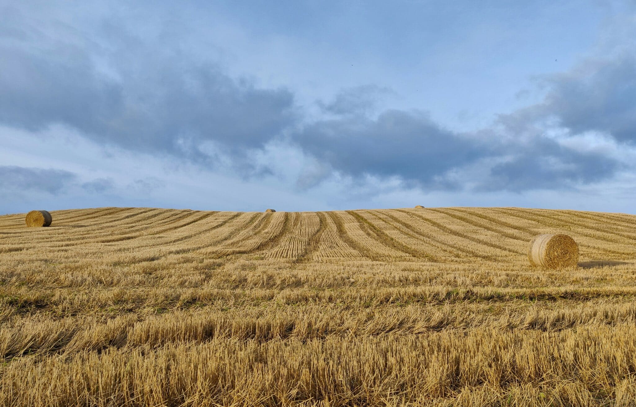 Farmland values in the US have remained stable through the first half of 2025, according to a mid-year update from Farmers National Company.