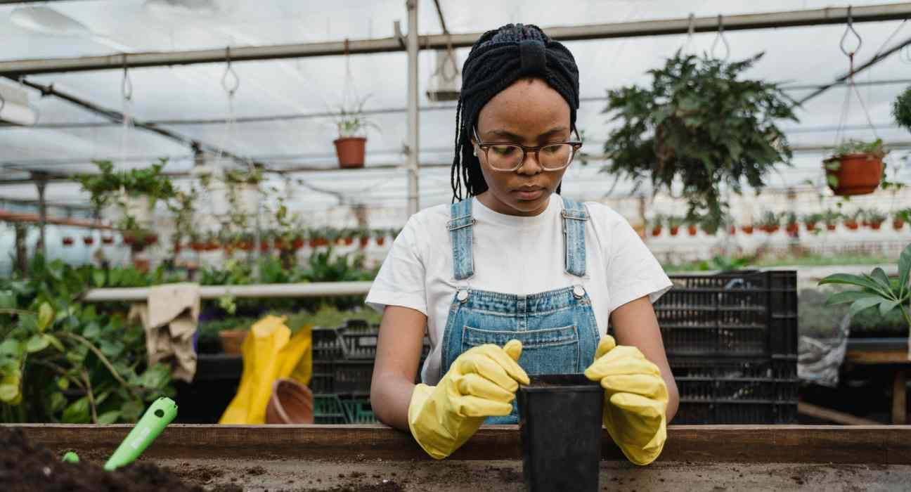 Silly Nice, a cannabis brand rooted in Harlem, has announced a partnership with the FarmOn! Foundation