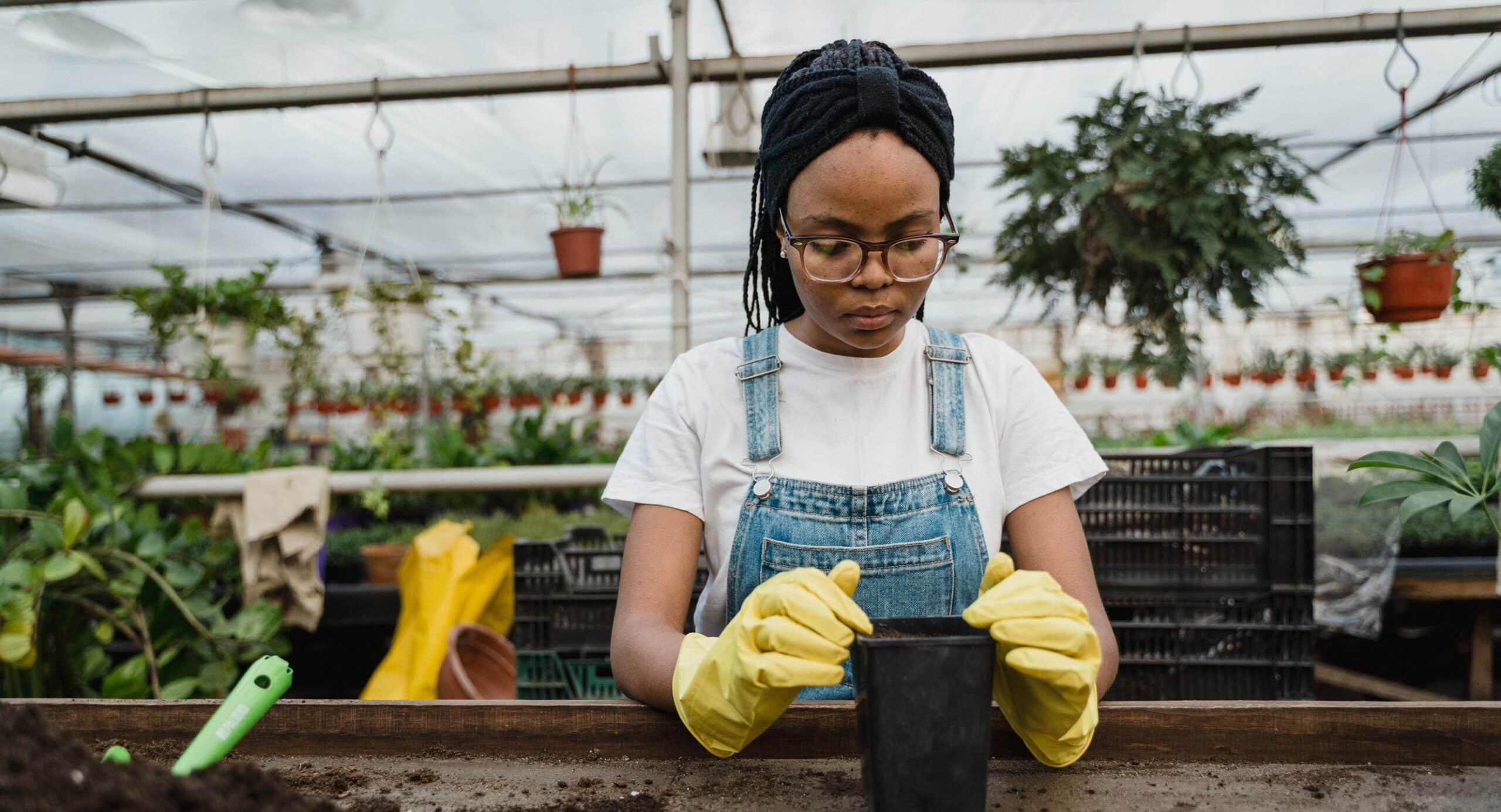 Silly Nice, a cannabis brand rooted in Harlem, has announced a partnership with the FarmOn! Foundation
