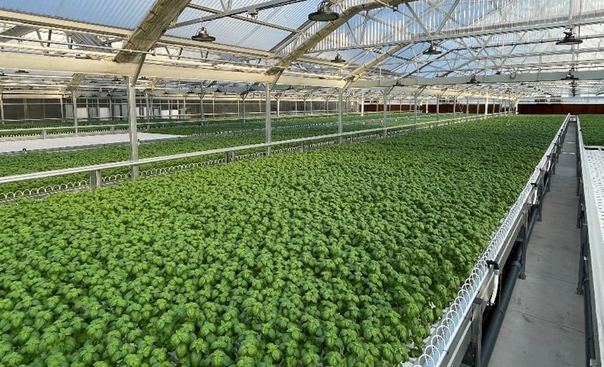 AdeptAg announced a new one-year partnership with FGM, formalizing a collaboration aimed at delivering greenhouse infrastructure and integrated solutions to commercial growers.