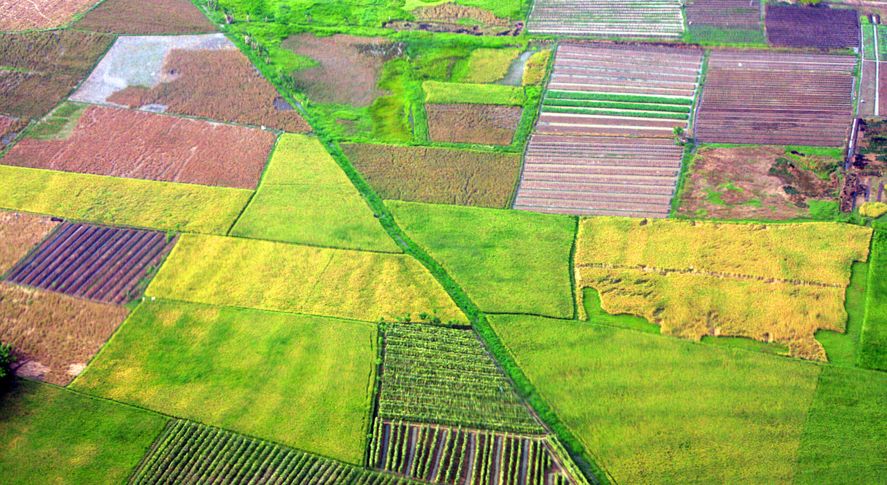 Syngenta and Planet Labs have expanded their partnership to provide near-daily satellite imagery to farmers.