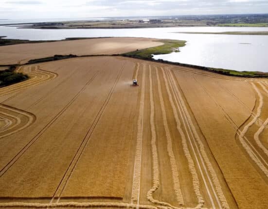 BASF and Boortmalt have generated the first Verified Impact Units (VIUs) from reducing on-farm greenhouse gas (GHG) emissions.