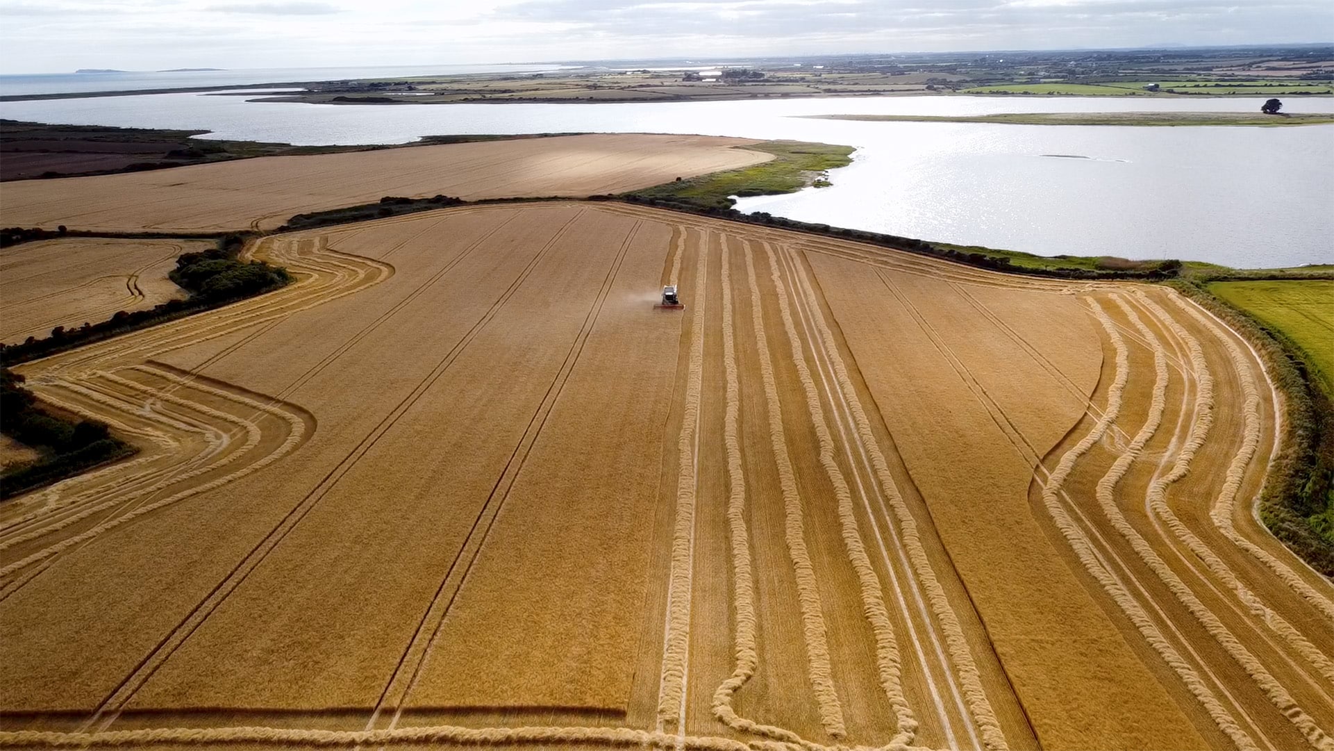 BASF and Boortmalt have generated the first Verified Impact Units (VIUs) from reducing on-farm greenhouse gas (GHG) emissions.